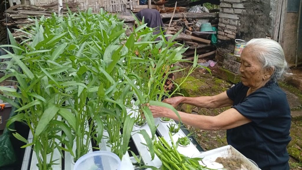 Intergenerational Care and Food Security: What Dusun Teguhan Taught Us About Dignity, Community, and Aging Well