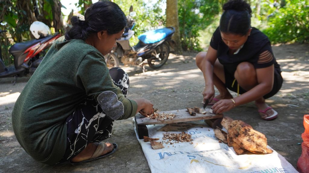 Farmers and Nature in Kuatae Village: Facing Disasters, Continuing to Adapt