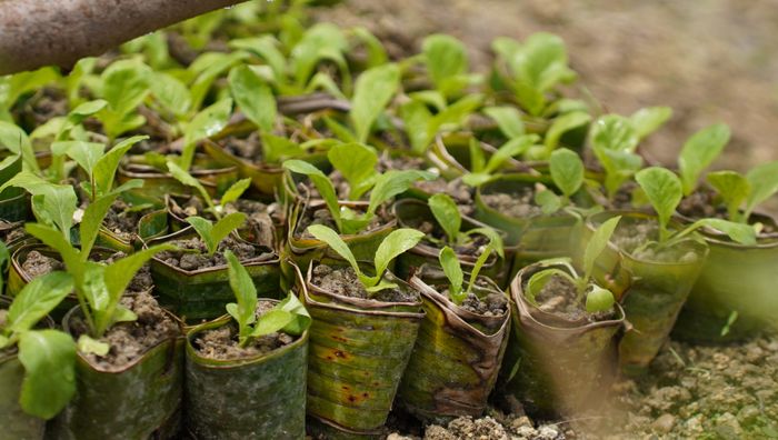 Kokeran: Small Steps Toward Sustainable Farming