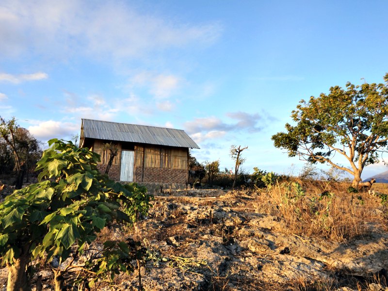 The House With The Million Dollar View