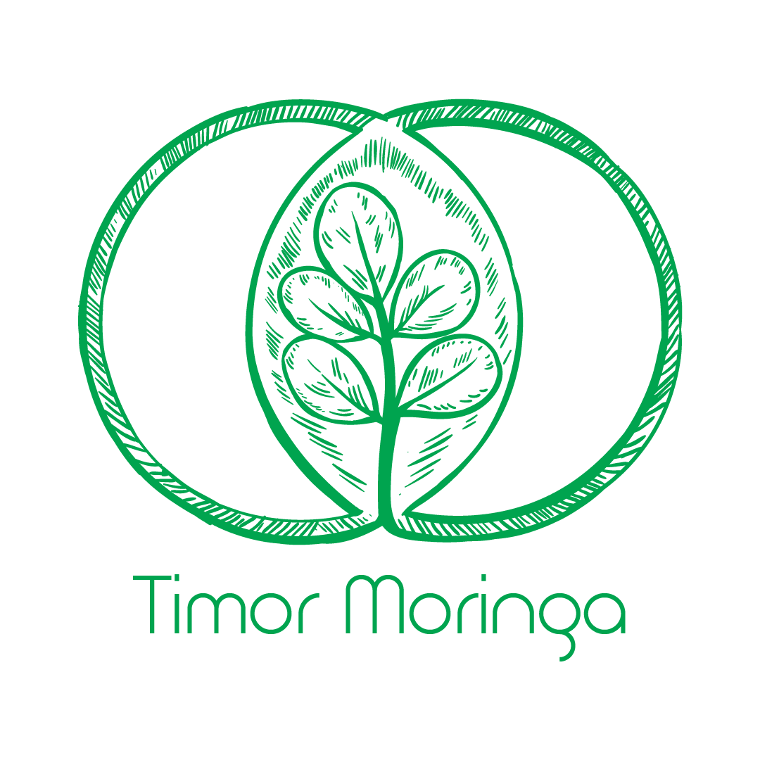 Timor Moringa