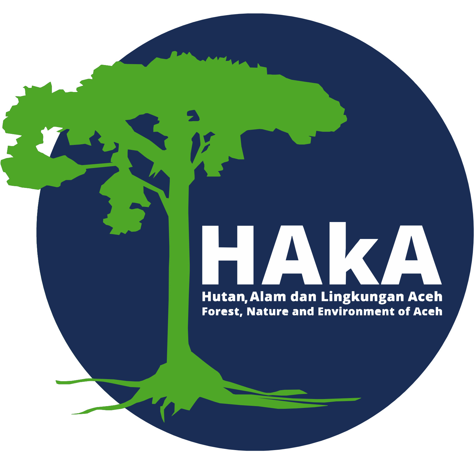 Implementation Partner