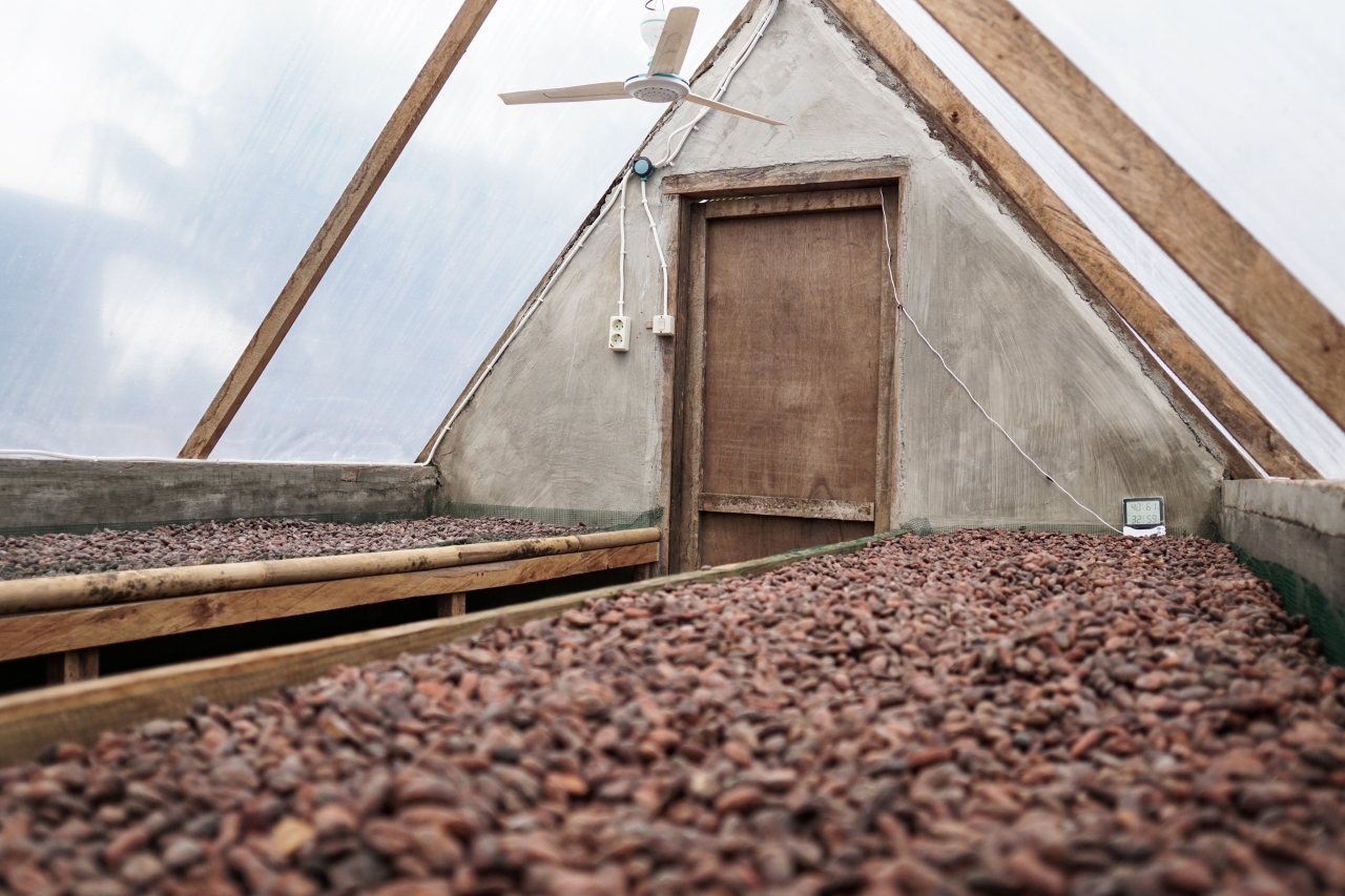 Improving Farmers Income: Solar Drying Solutions Phase Three