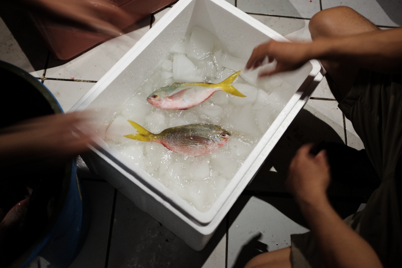 Improving Fish Preservation: Cooling Solutions for Wholesalers