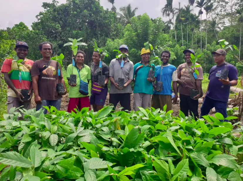 Supporting Livelihoods Of Small-Scale Fishers And Farmers In Papua – Cacao