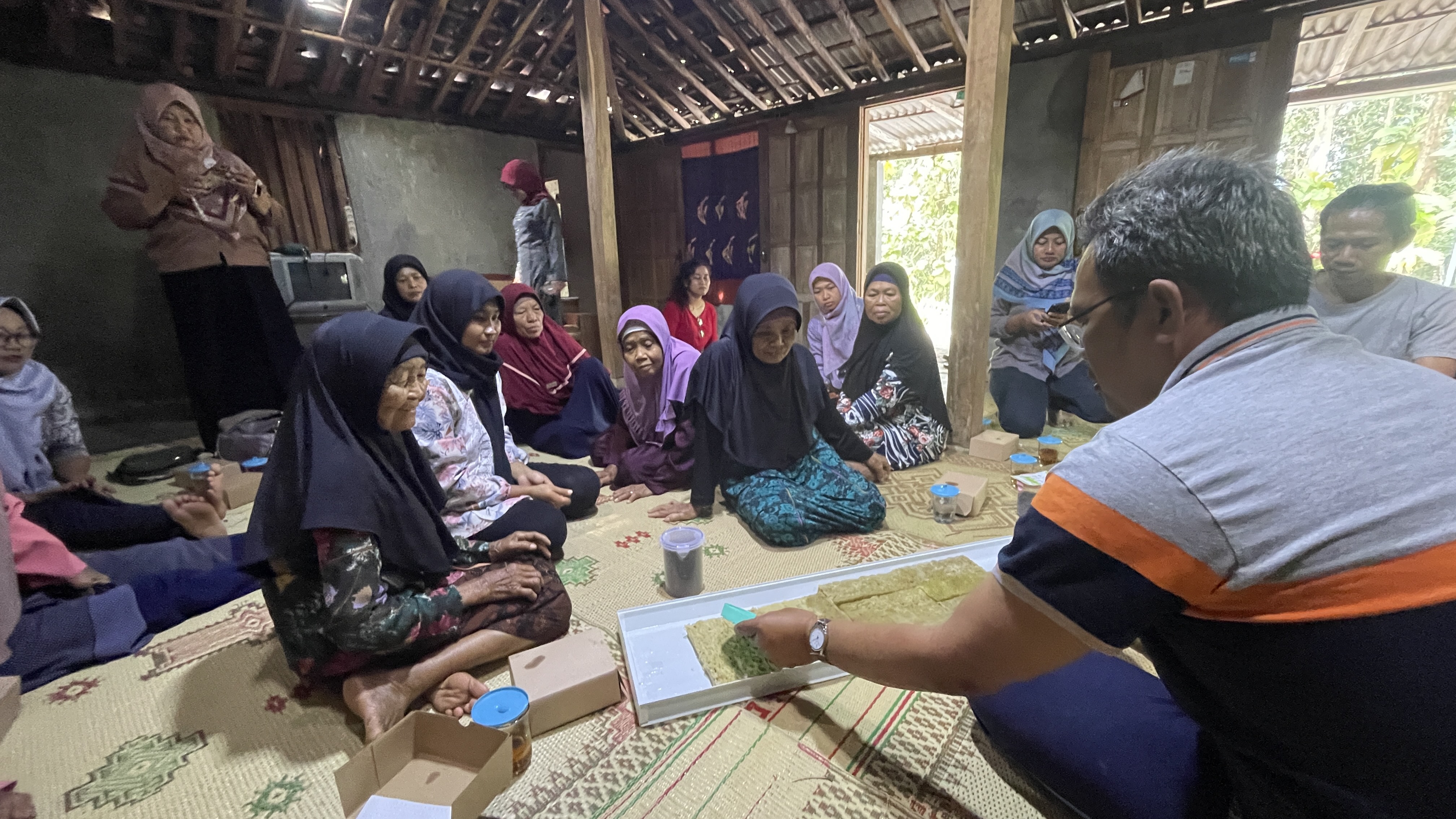 Enhancing Food Security for the Elderly through Accessible Aquaponic Systems
