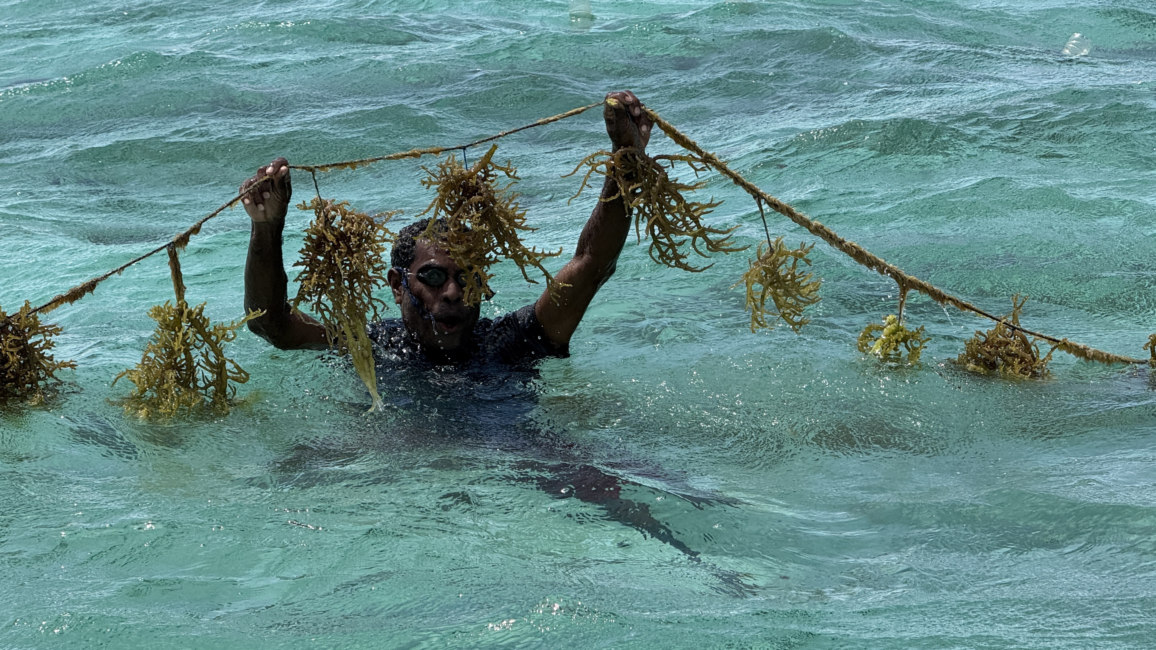 Building a Community-Based Seaweed Value Chain for Fishers in Papua