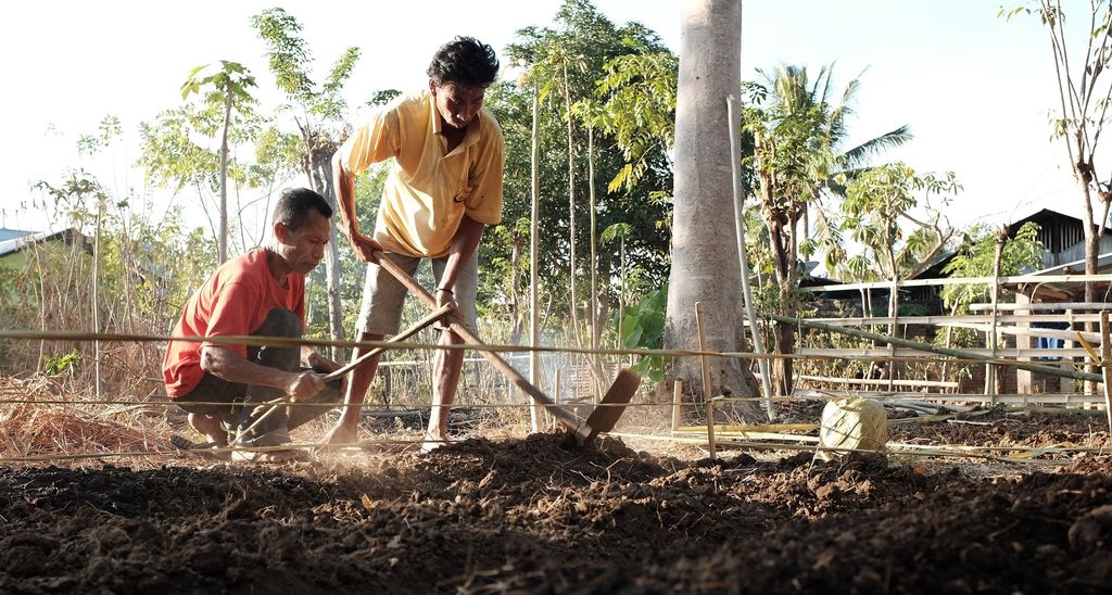 Growing Moringa at Home: A Stunting Prevention Initiative