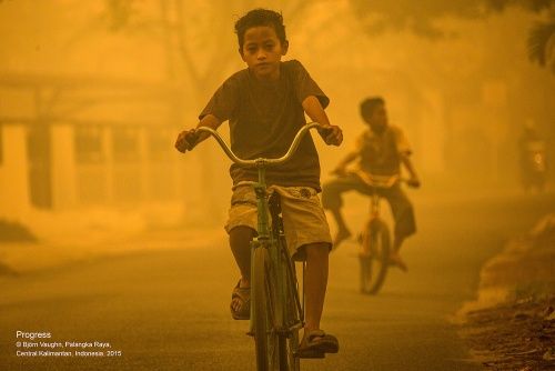 Kalimantan Haze Emergency Response