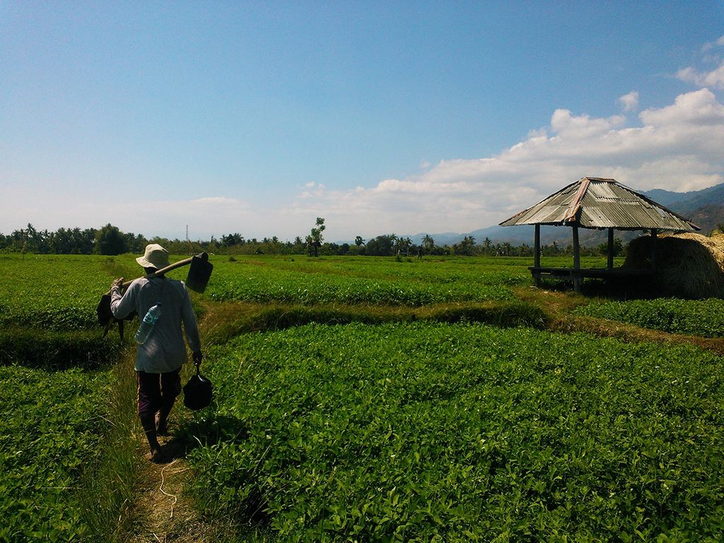 Assessing Mobile-Acquired Data Tools for ACIAR