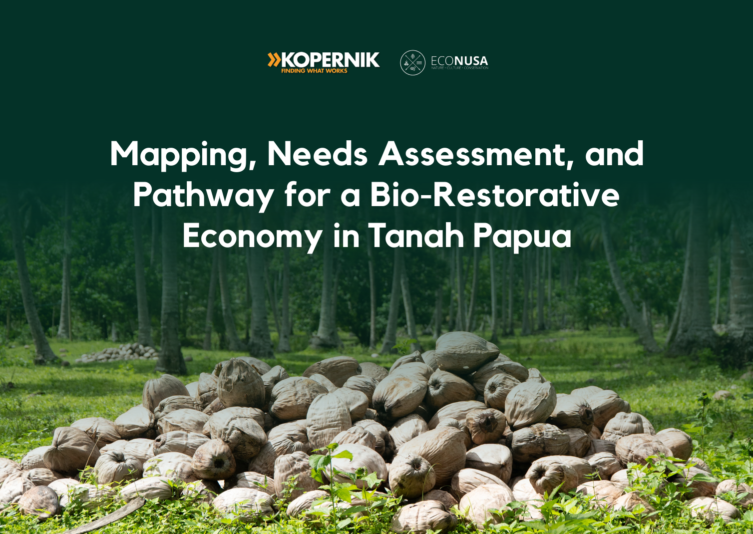 Mapping, Needs Assessment, and Pathway for a Bio-Restorative Economy in Tanah Papua